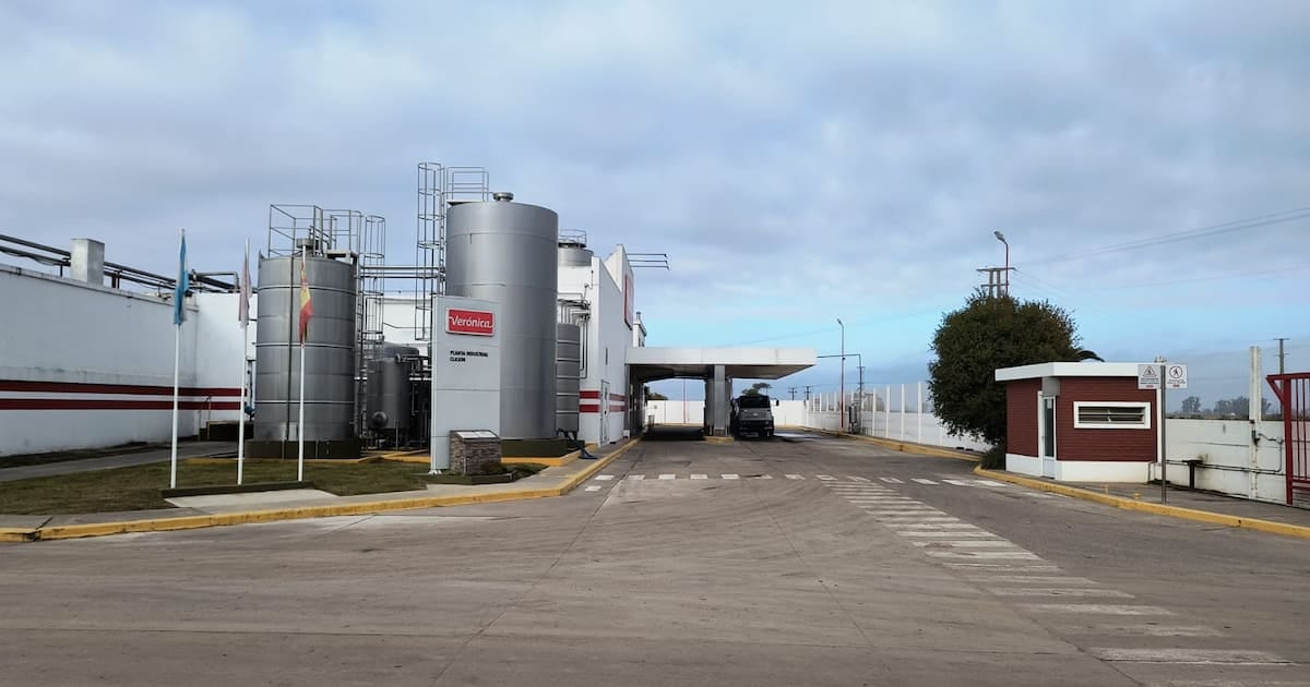 Verónica cede dos plantas en Santa Fe por 15,5 millones de dólares y arrastra un pasivo que cuadruplica lo recaudado
