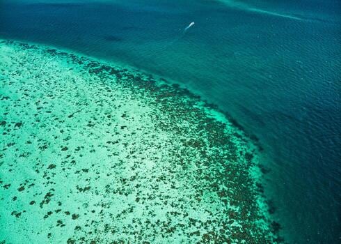 San Pedro, la puerta beliceña al Caribe con arrecifes, fauna y dos formas de llegar desde la capital