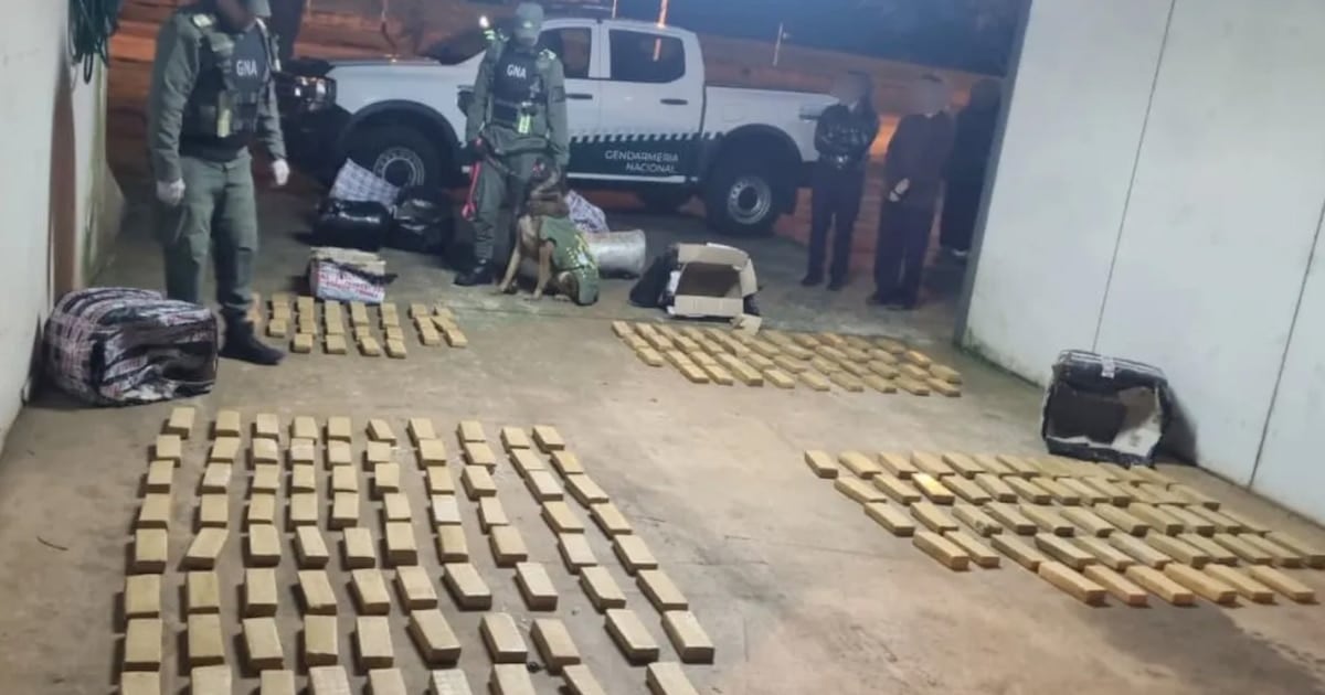 Secuestran más de 142 kilos de marihuana en un colectivo que iba de Puerto Iguazú a Buenos Aires