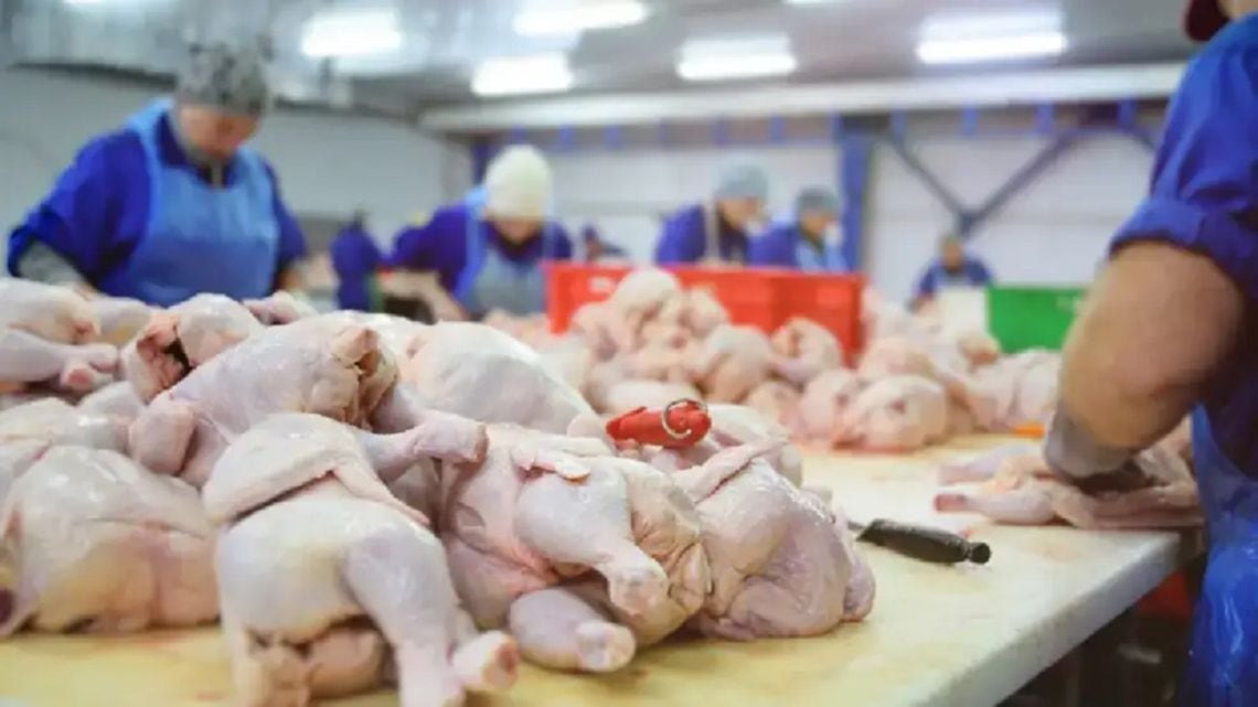 Por primera vez en la Argentina, el pollo le ganó la pulseada a la carne vacuna en la mesa de los hogares