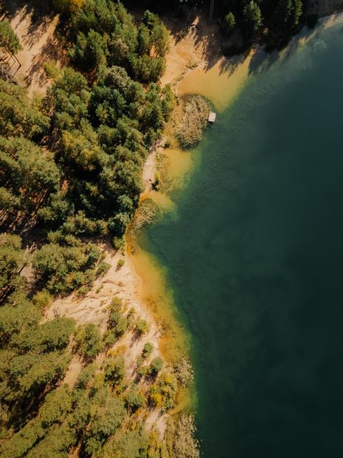 En el corazón del lago Lácar, una capilla de madera testigo mudo del trabajo forestal