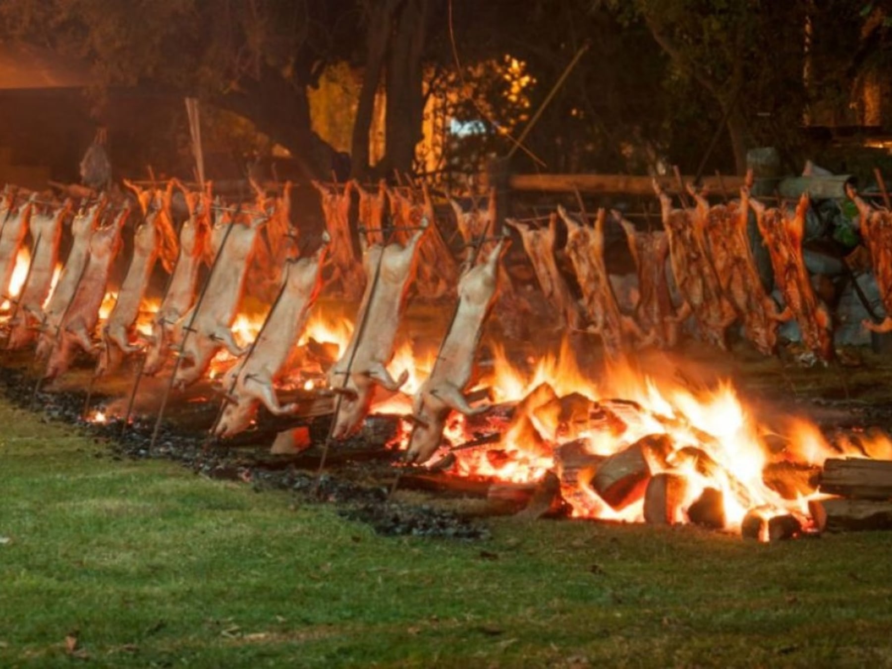 Seis fiestas populares, un feriado: la agenda completa para recorrer la provincia de Buenos Aires del 10 al 12 de octubre