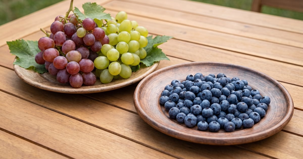 Arándanos o uvas: la pulseada por el azúcar en sangre y por qué la fibra es la llave que abre o cierra el pico de glucosa