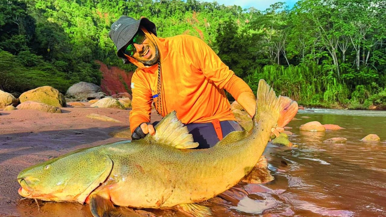 Amazonía boliviana: quince especies y jornadas de hasta doce horas en un río de 350 kilómetros navegables