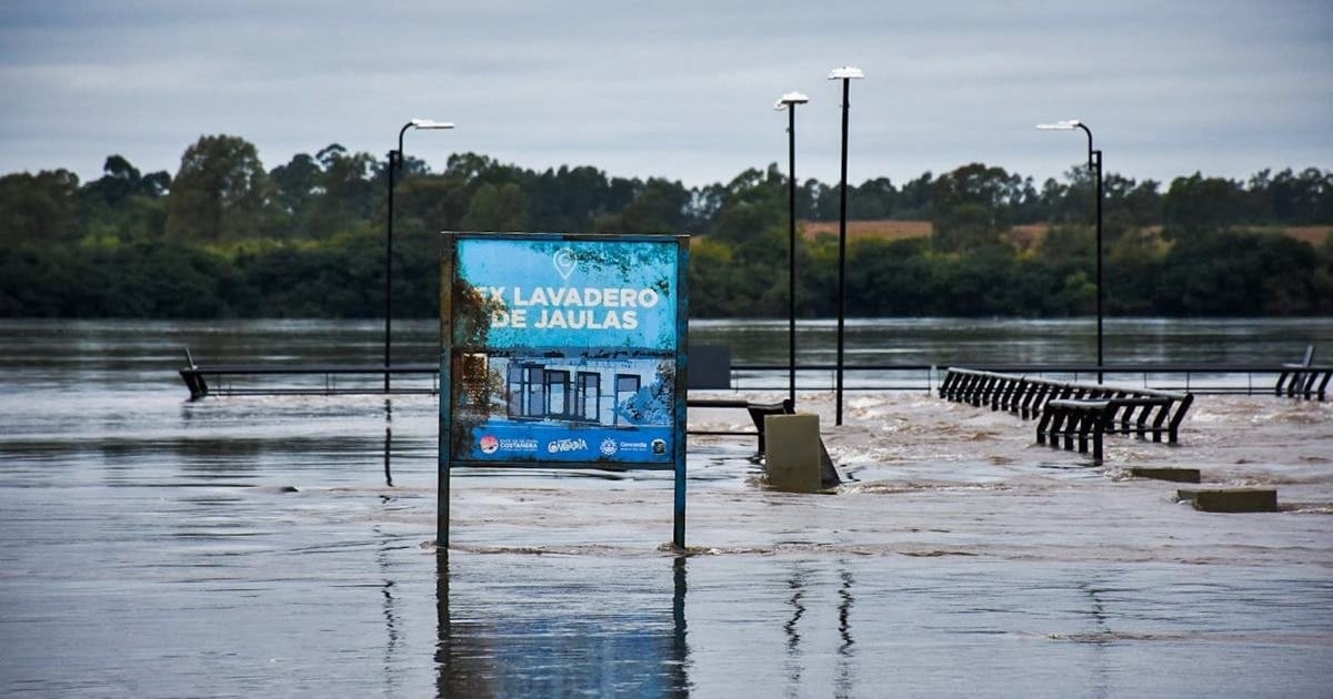 De la inundacion a la góndola: la carne se prepara para dar otro salto antes de las Fiestas