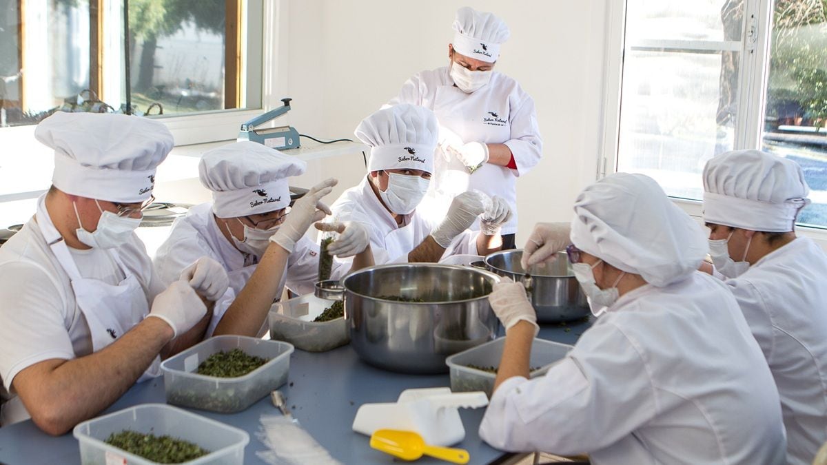 Los jóvenes de San Martín de los Andes que le ganaron al mundo con tres frascos de mermelada