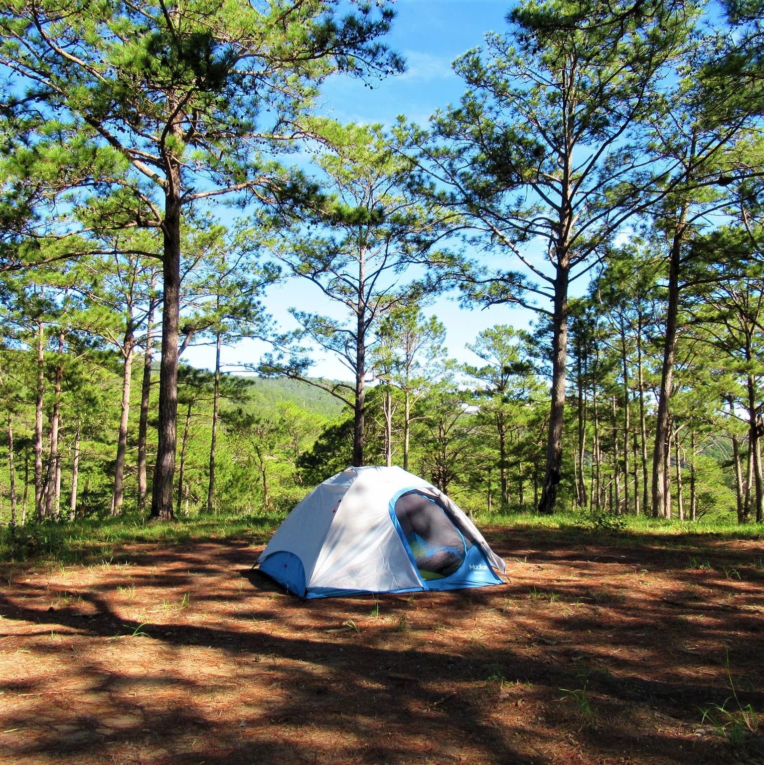 Huttopia desembarca en la costa atlántica con un camping de 55 hectáreas en Mar Azul