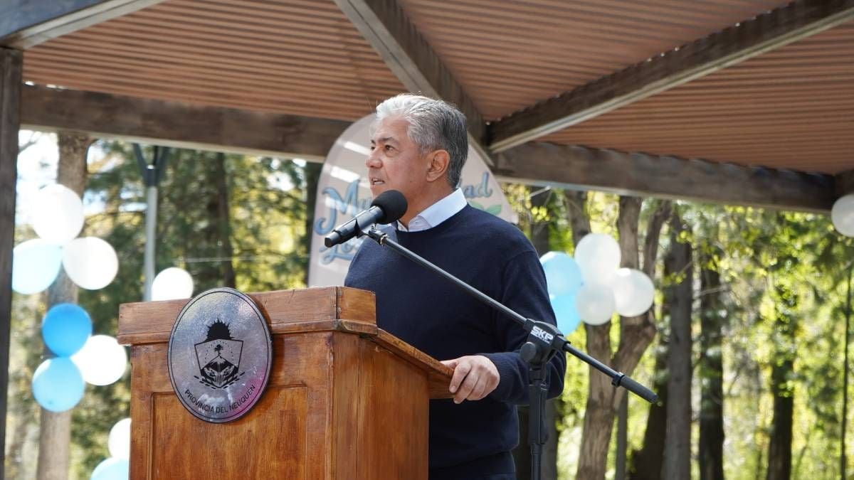 Neuquén propone rebajar un 30% la luz de los hogares a partir del mes próximo